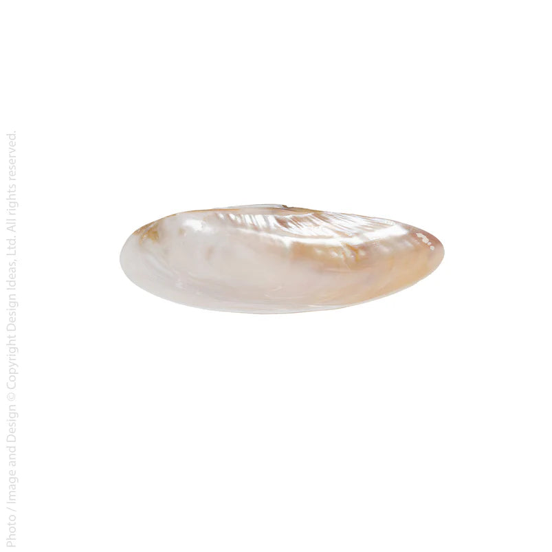 Cala Shell Plate large