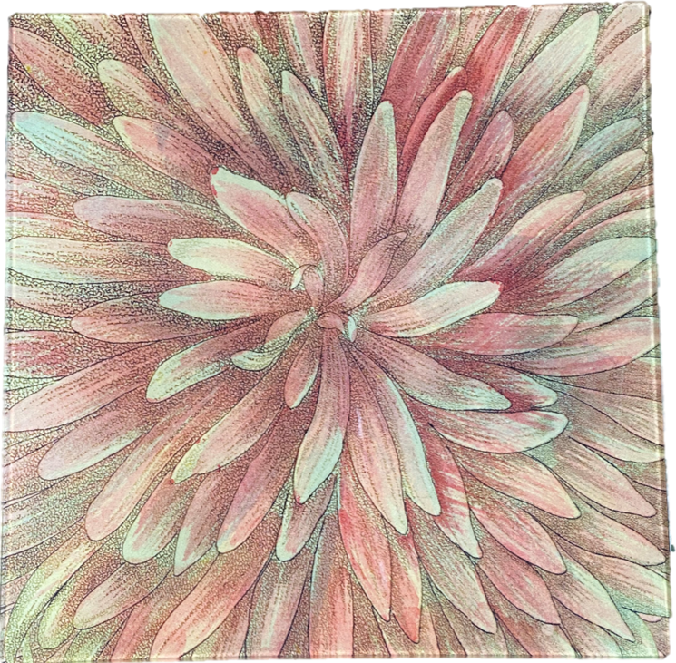 Pink Chrysanthemum - 10x10