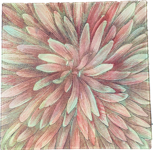Pink Chrysanthemum - 10x10