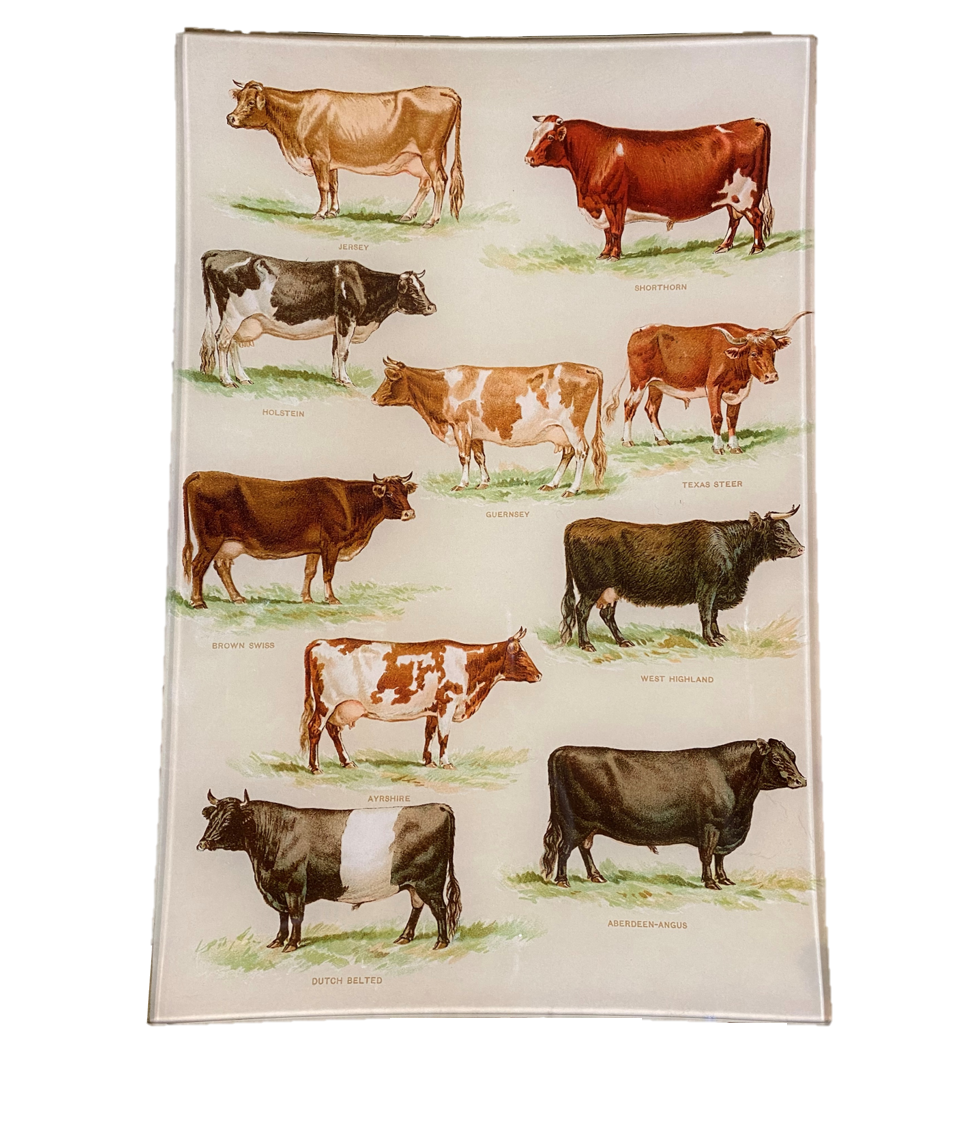 Cattle Chart - 8 x 12