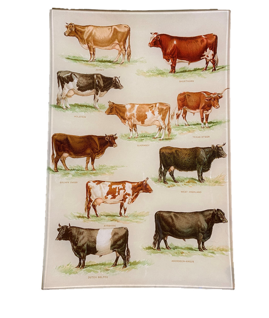 Cattle Chart - 8 x 12