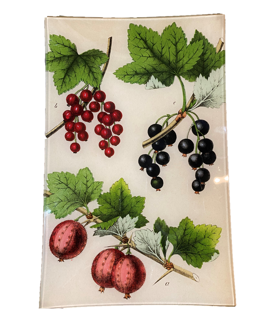 Gooseberries & Currents - 9 x 14