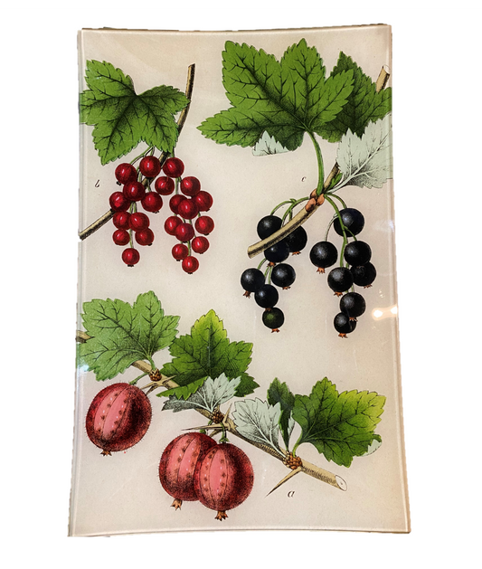 Gooseberries & Currents - 9 x 14