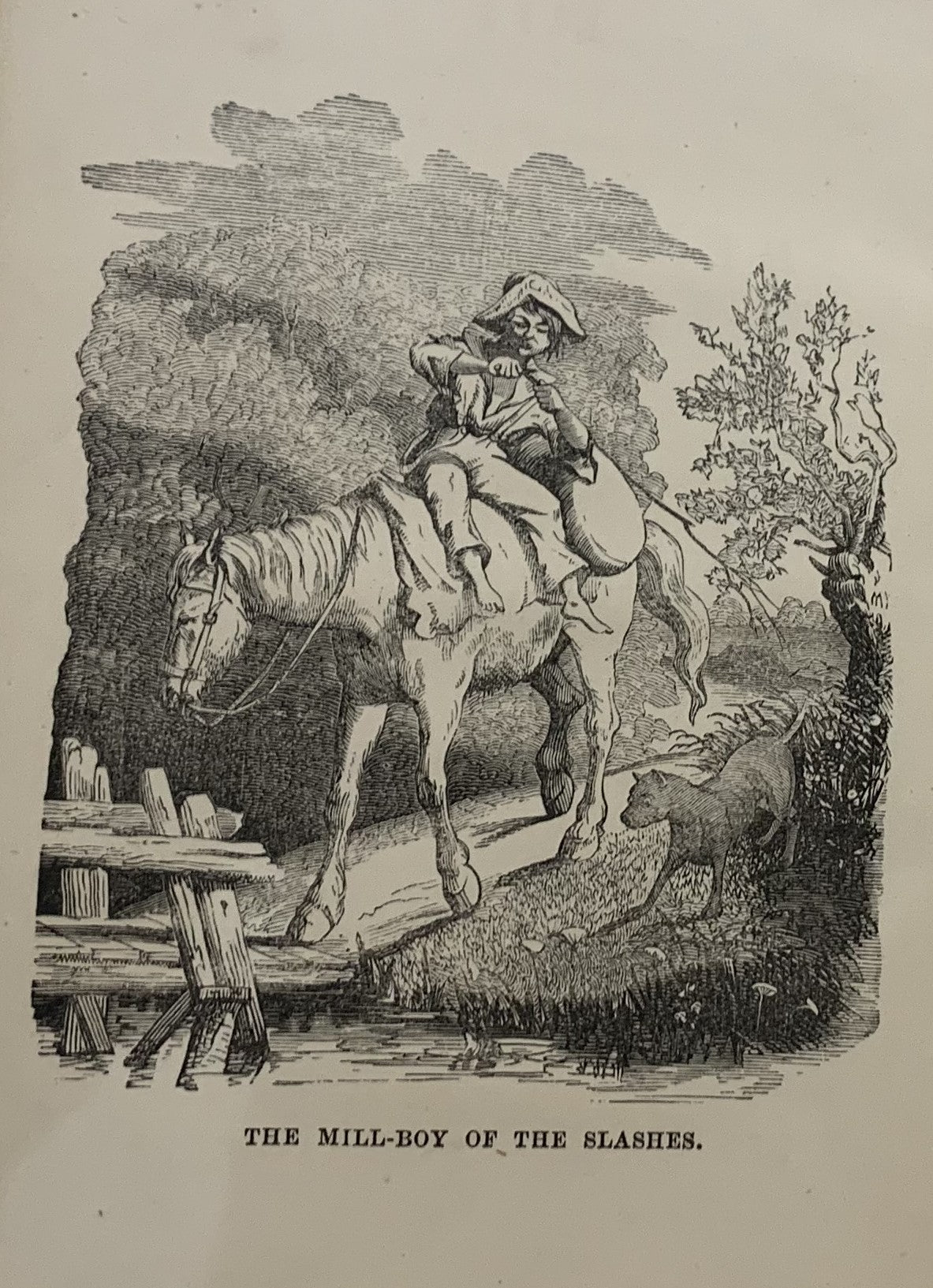 Life of Henry Clay The Statesman and the Patriot