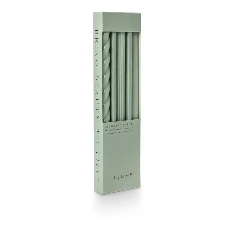 Assorted Tapers Hinoki Sage