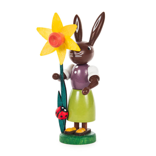 Rabbit with daffodil
