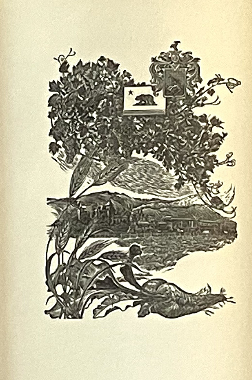 From Kapuvar to California 1893