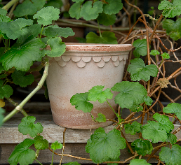 Kobenhavner 35 cm / 13.8 in inch pot & tray in Rosa Terracotta