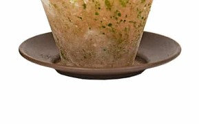Mini Plant Saucer #10