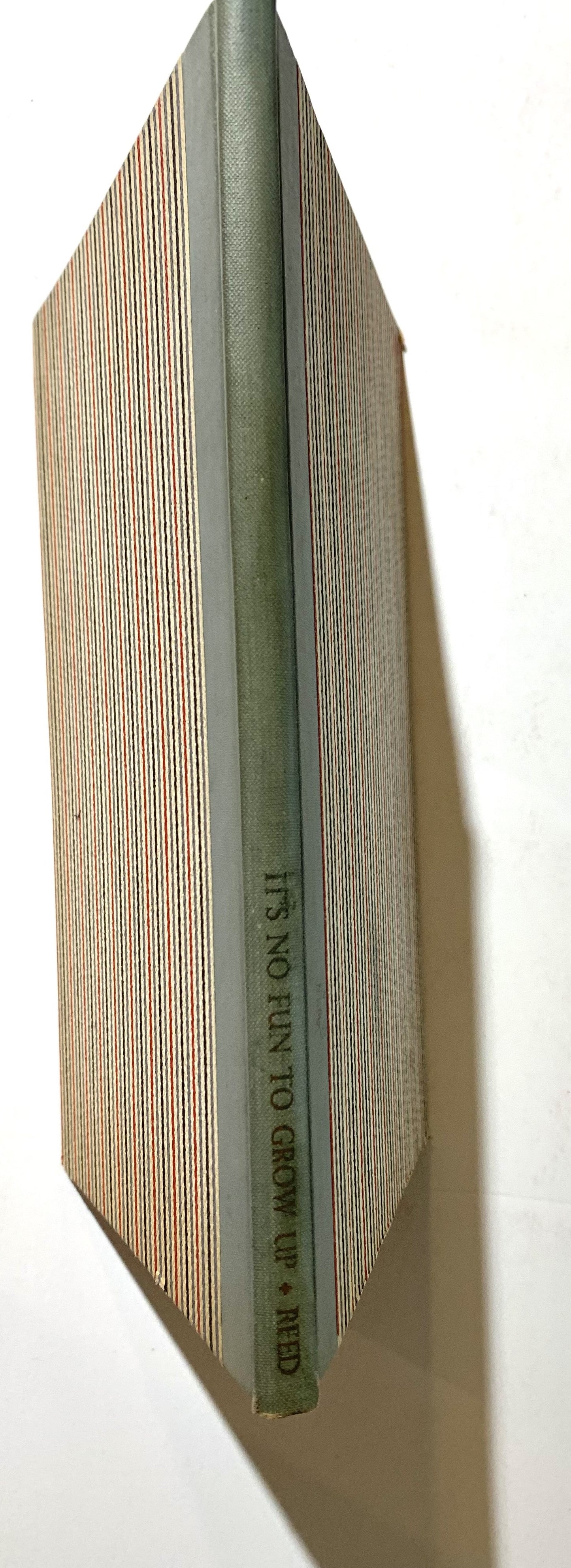 It's No Fun to Grow Up; A Handbook of Information for Precocious Adults