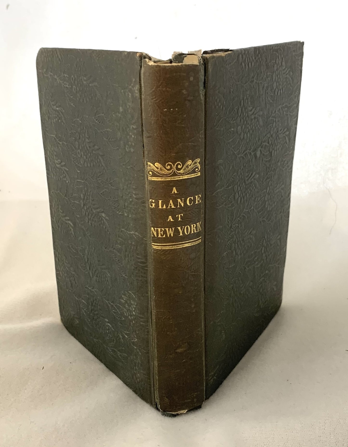 A Glance at New York: Embracing the City Government, Theatres, Hotels, Churches, Mobs, Monopolies, Learned Professions, Newspapers, Rogues, Dandies, Fires and Firemen, Water and Other Liquids, & C.