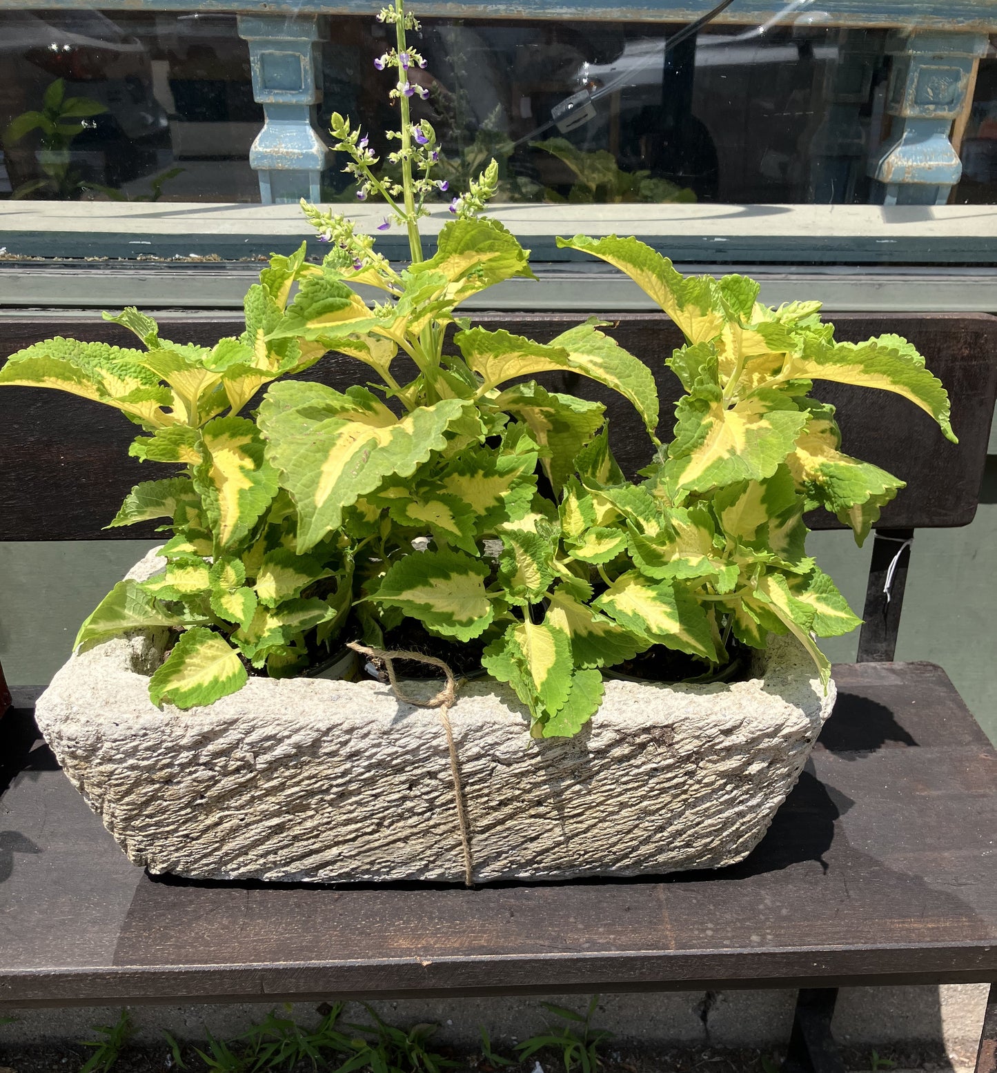 Vintage Concrete Rectangle Planter