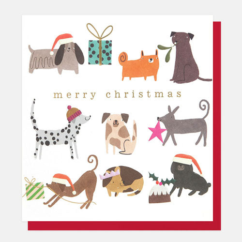 Xmas Dogs Greeting Card
