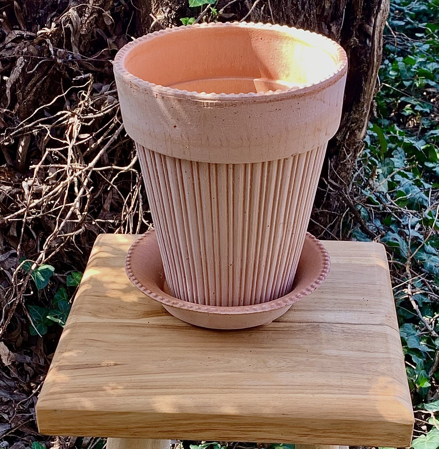 Simona Pot 18cm in Rosa with tray