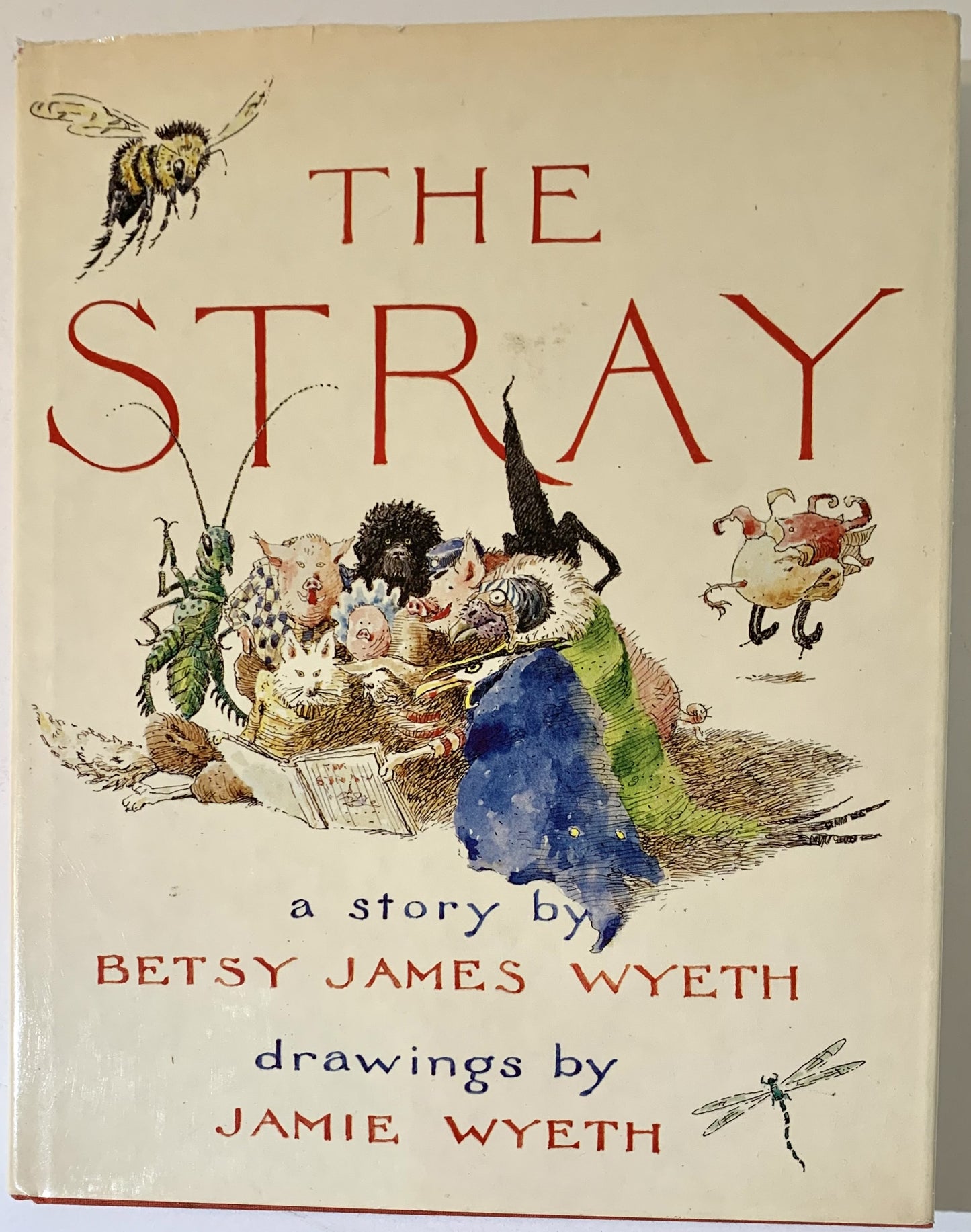 The Stray