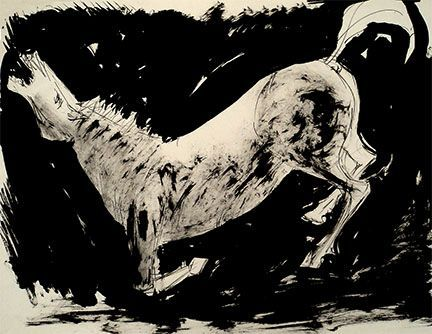 Bucking Horse