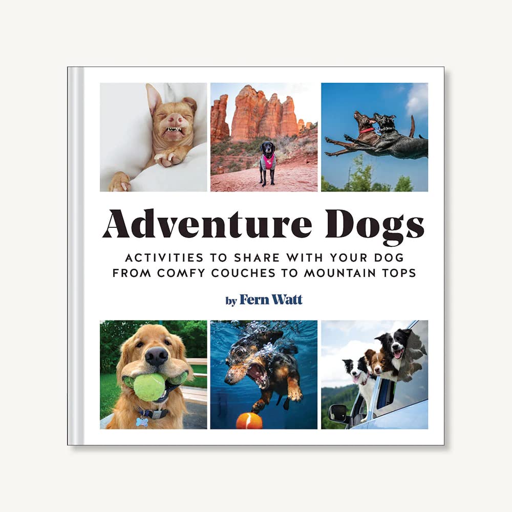 Adventure Dogs: Activities to Share with Your Dog from Comfy Couches to Mountain Tops