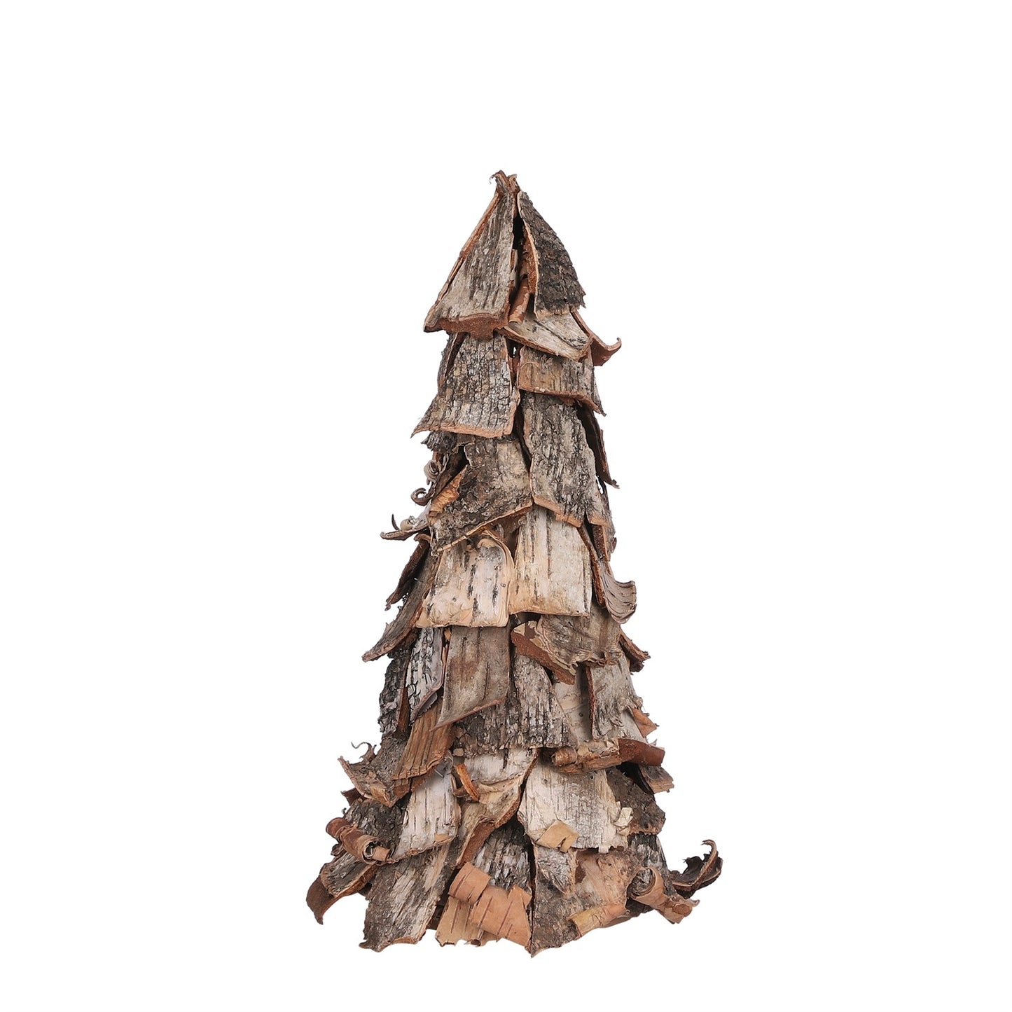 Birch Tree, 17.75"