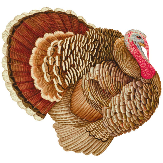 Turkey Paper Placemats - 12 Per Package