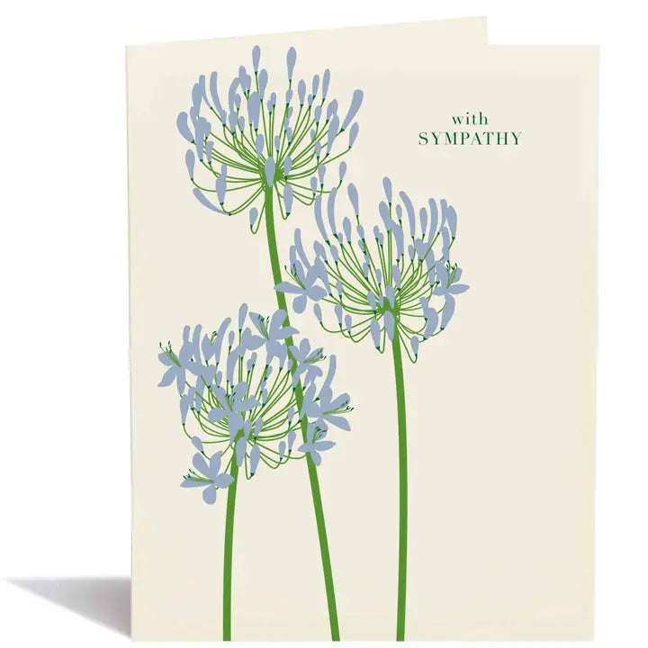 Sympathy Lily of the Nile