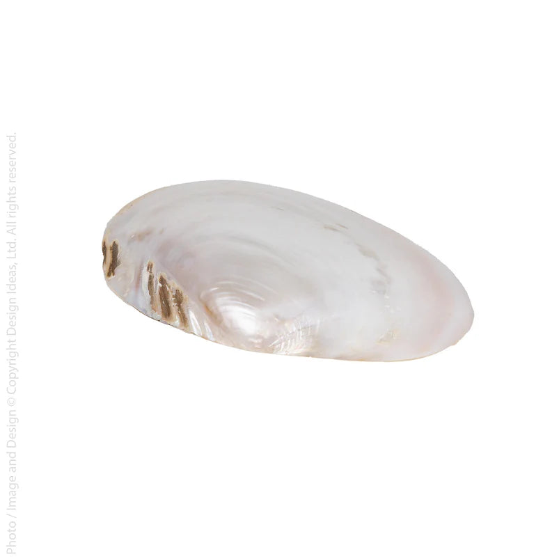 Cala Shell Plate small