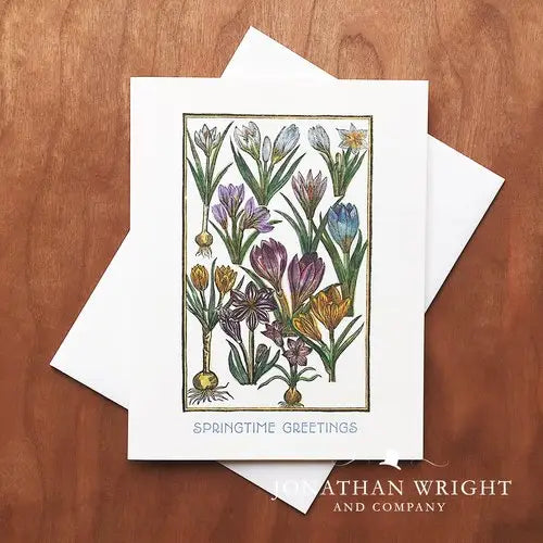 Garden Crocus - Springtime Boxed Set of 8