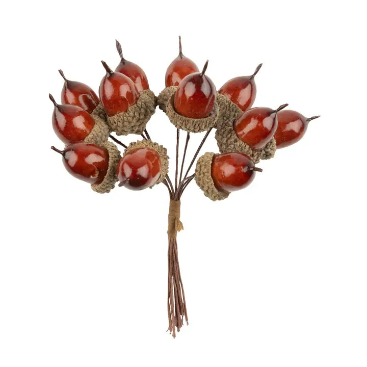 Cluster of 12 mini acorn pick