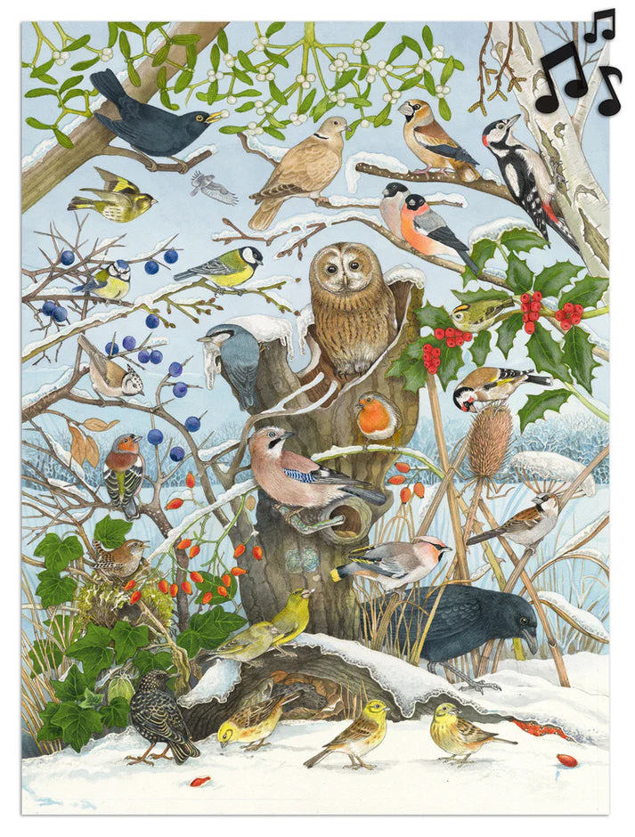 Birds in Winter Birdsong Advent Calendar