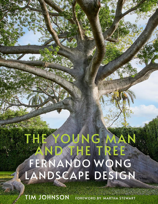 The Young Man and the Tree: Fernando Wong Landscape Design