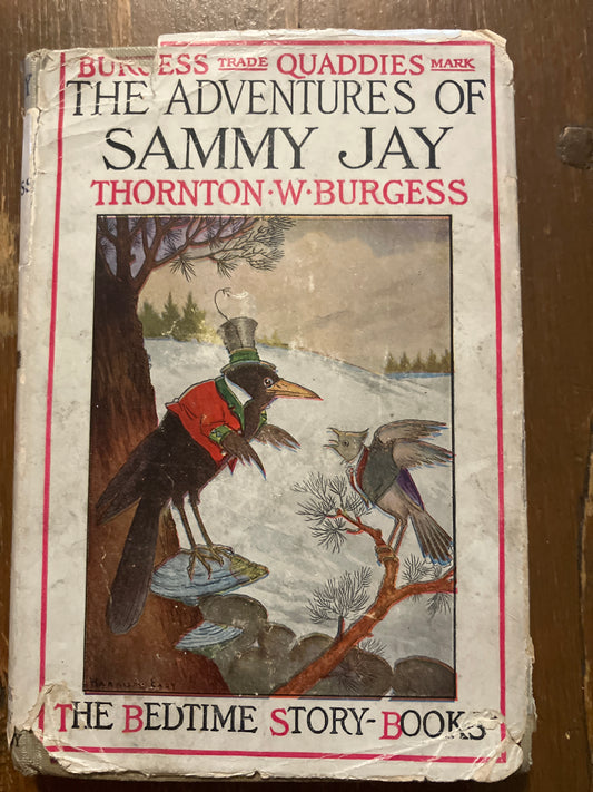 The Adventures of Sammy Jay