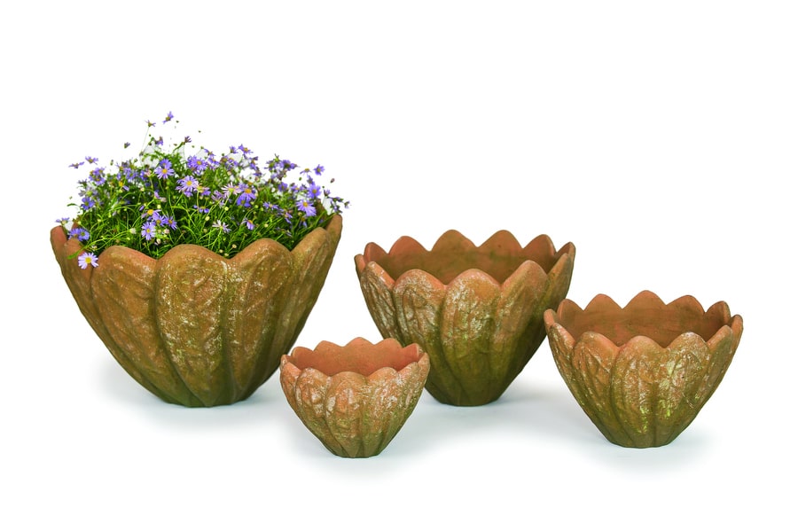 Medium Aged Petal Planter 8.5" D 6.5" H