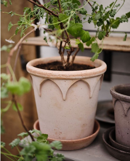 Elizabeth 25 cm / 9.8 in pot & tray in Rosa Terracotta