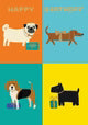 Dog Checkerboard Petite Card