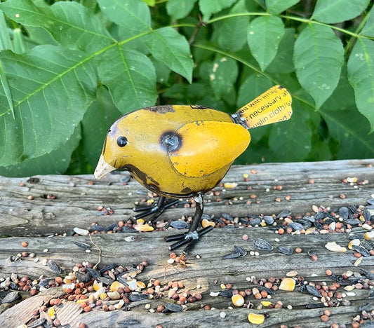 Gracie Yellow Baby Chick
