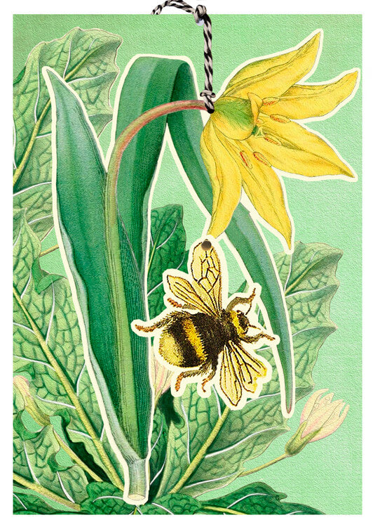 3D Bee Lily Blank Card