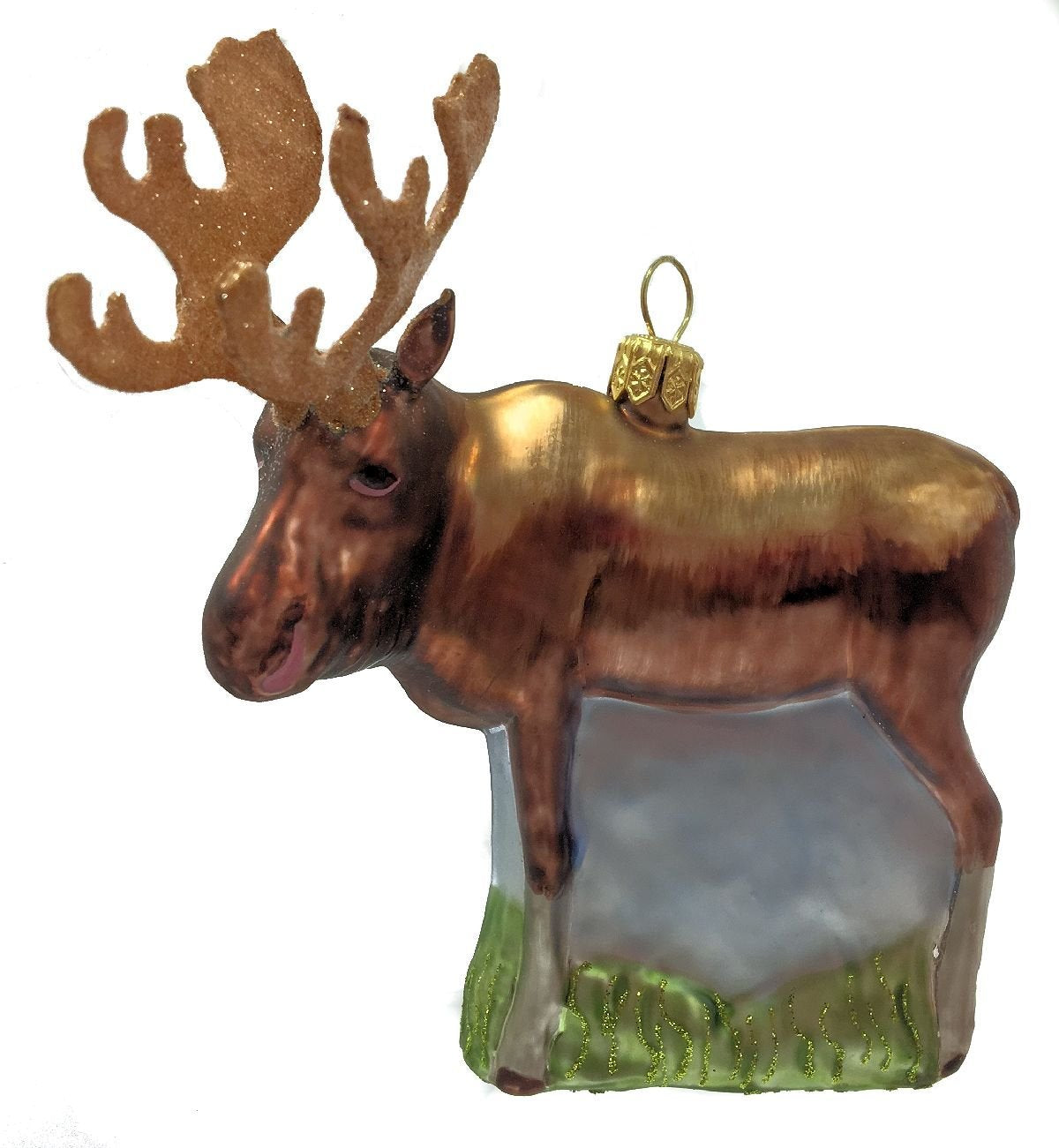 Male Bull Moose with Antlers Ornament