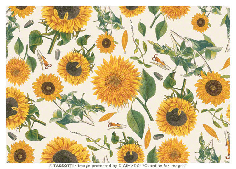 Sunflower Giftwrap