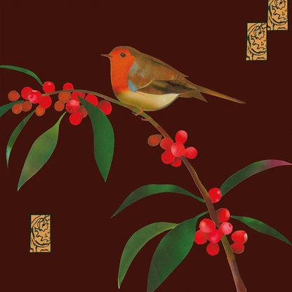 Xmas Birds Boxed Cards