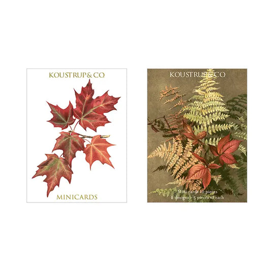 Minicards Ferns