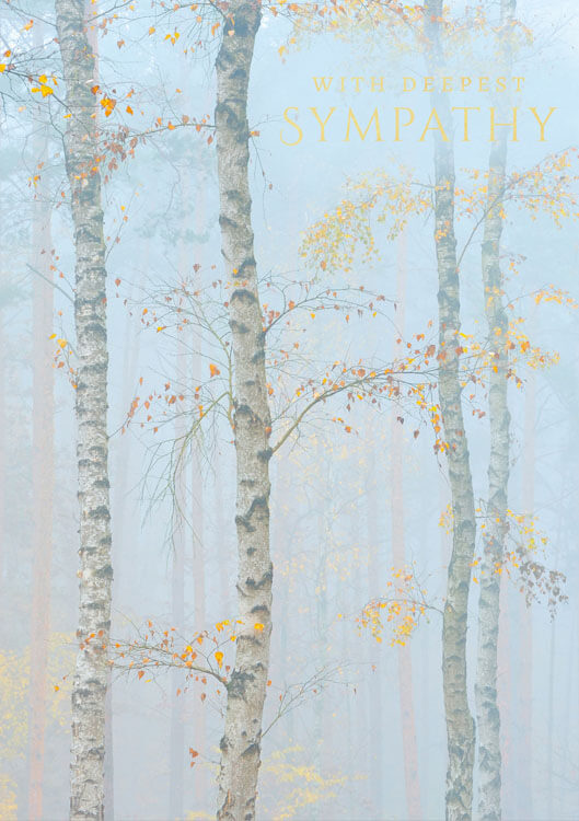 Birch Trees Abacus Sympathy Greeting Card