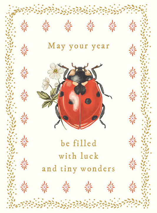 Ladybug Luck Birthday Greeting Card