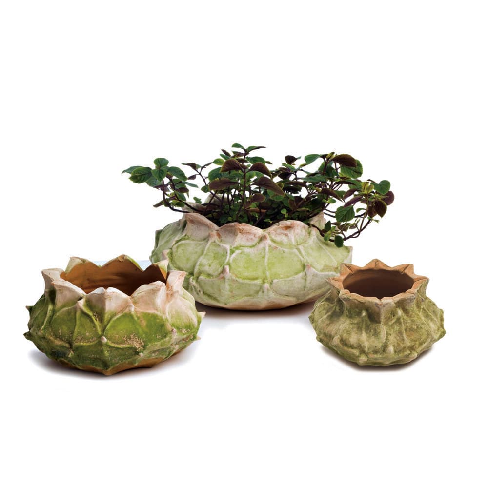 Large Corona Planter 14”D 7”H
