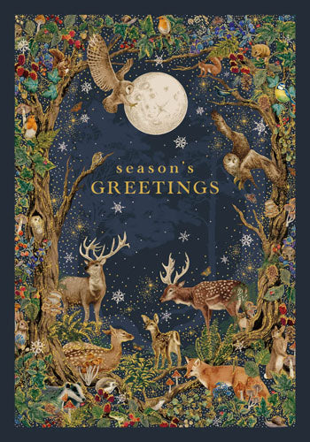 Into The Forest Boxed Cards