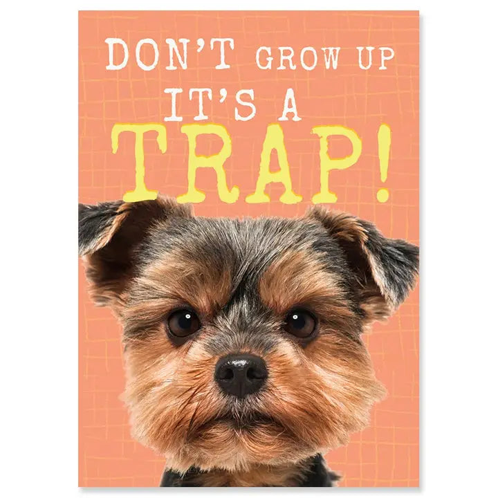 Trap Birthday Greeting Card 4.5 X 6.25"