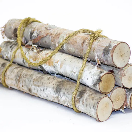 Birch Yule Log Bundle