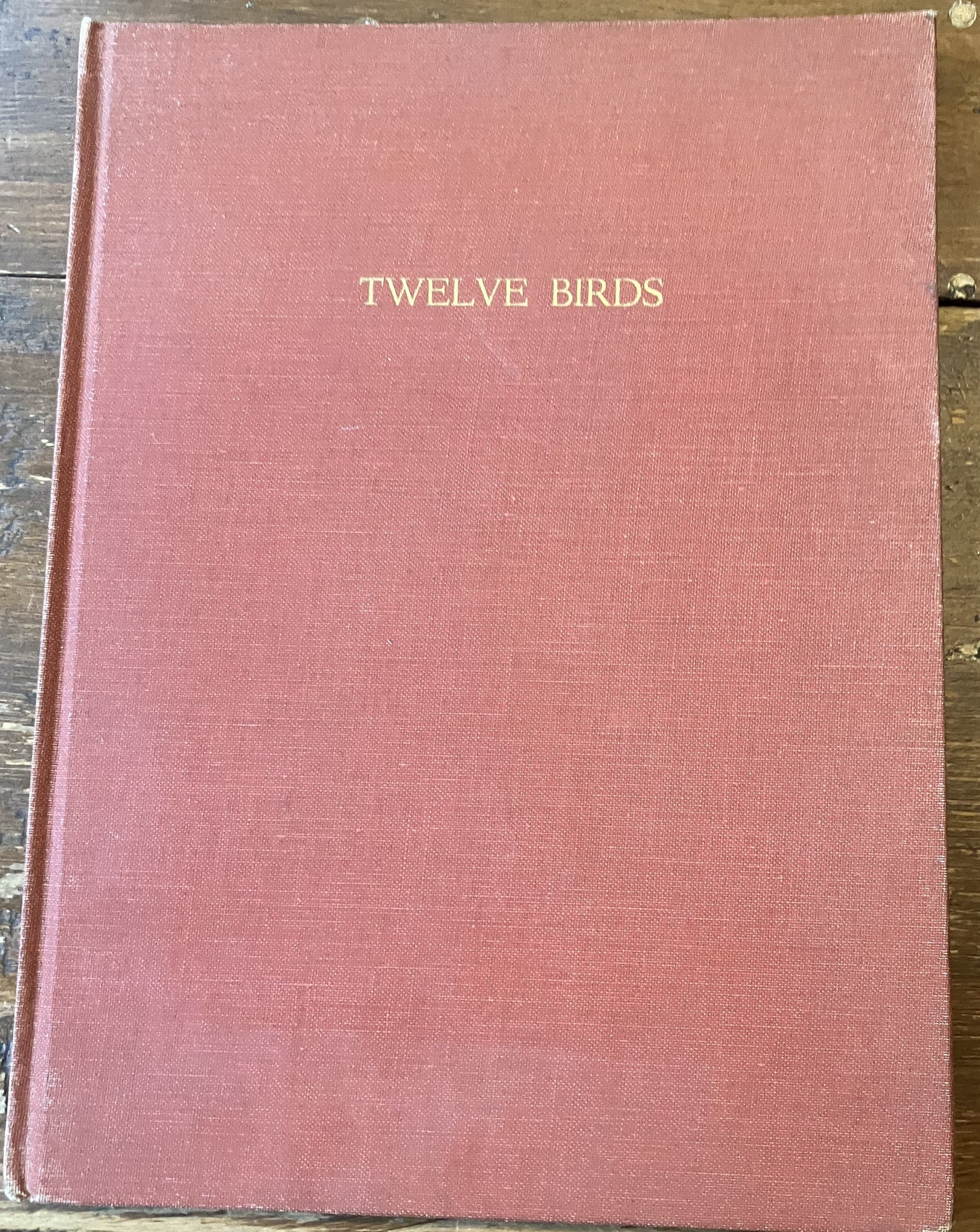 Twelve Birds