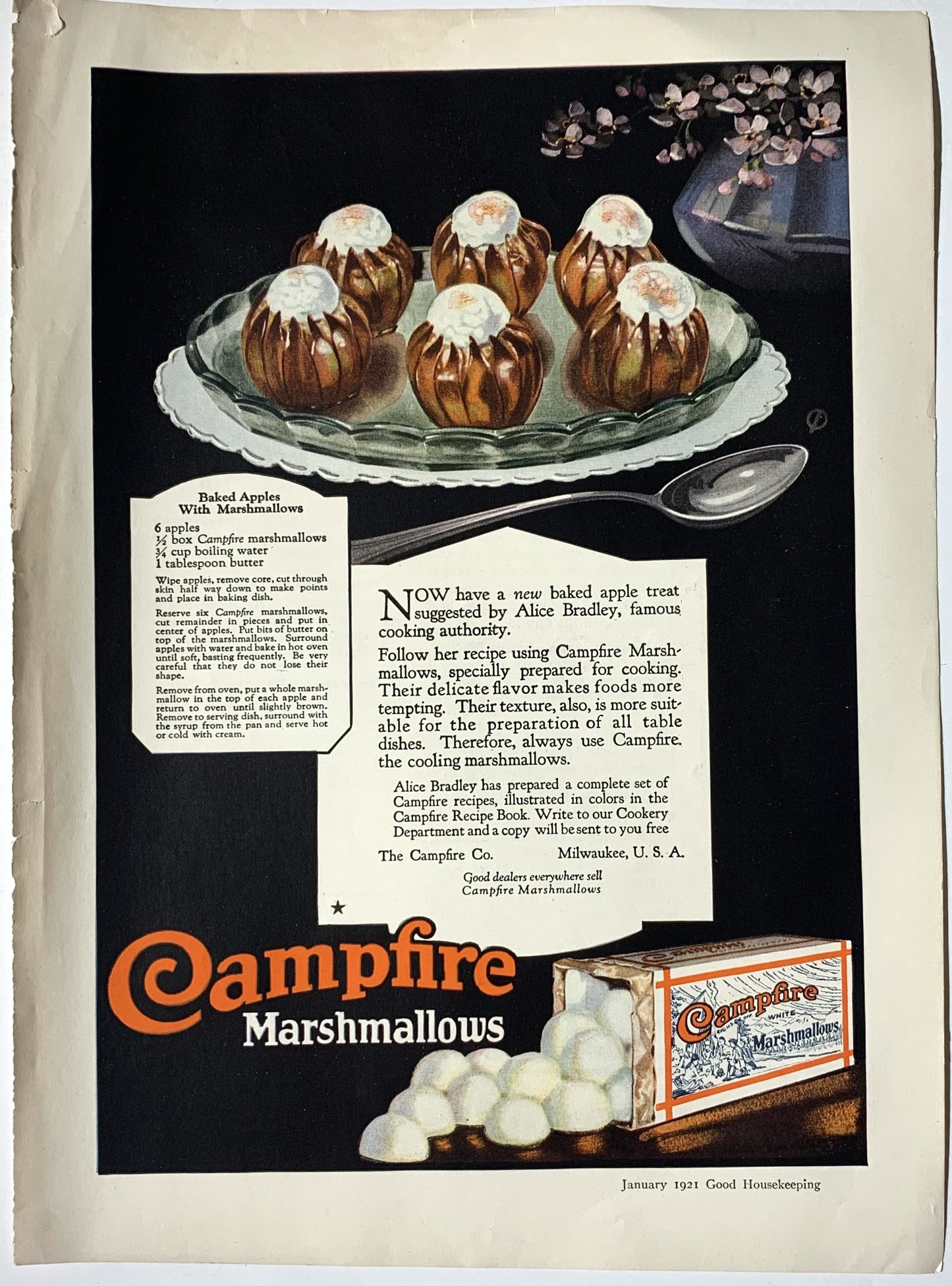 Campfire Mashmallows Ad