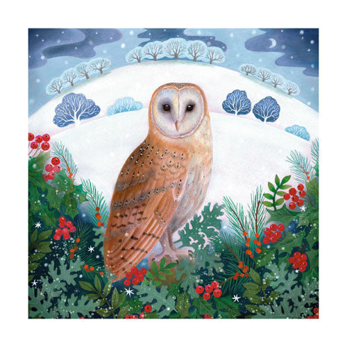 Winter Owl Boxed Cards