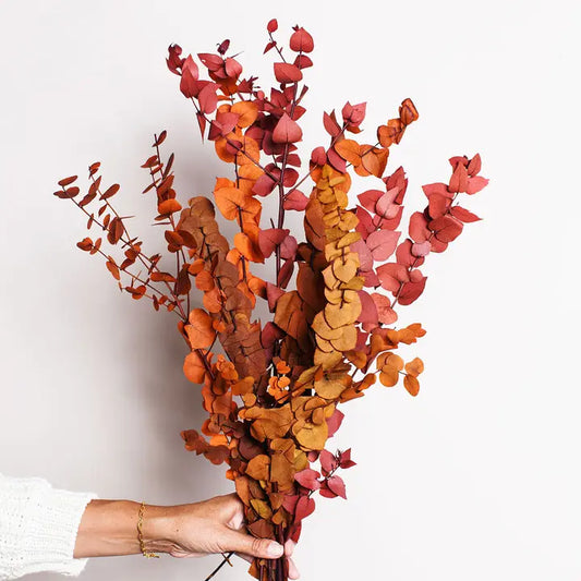 Preserved Copper Stuartiana Eucalyptus