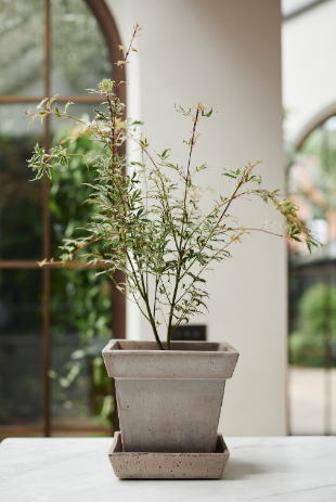 Gaia Grey Small Square Pot with tray